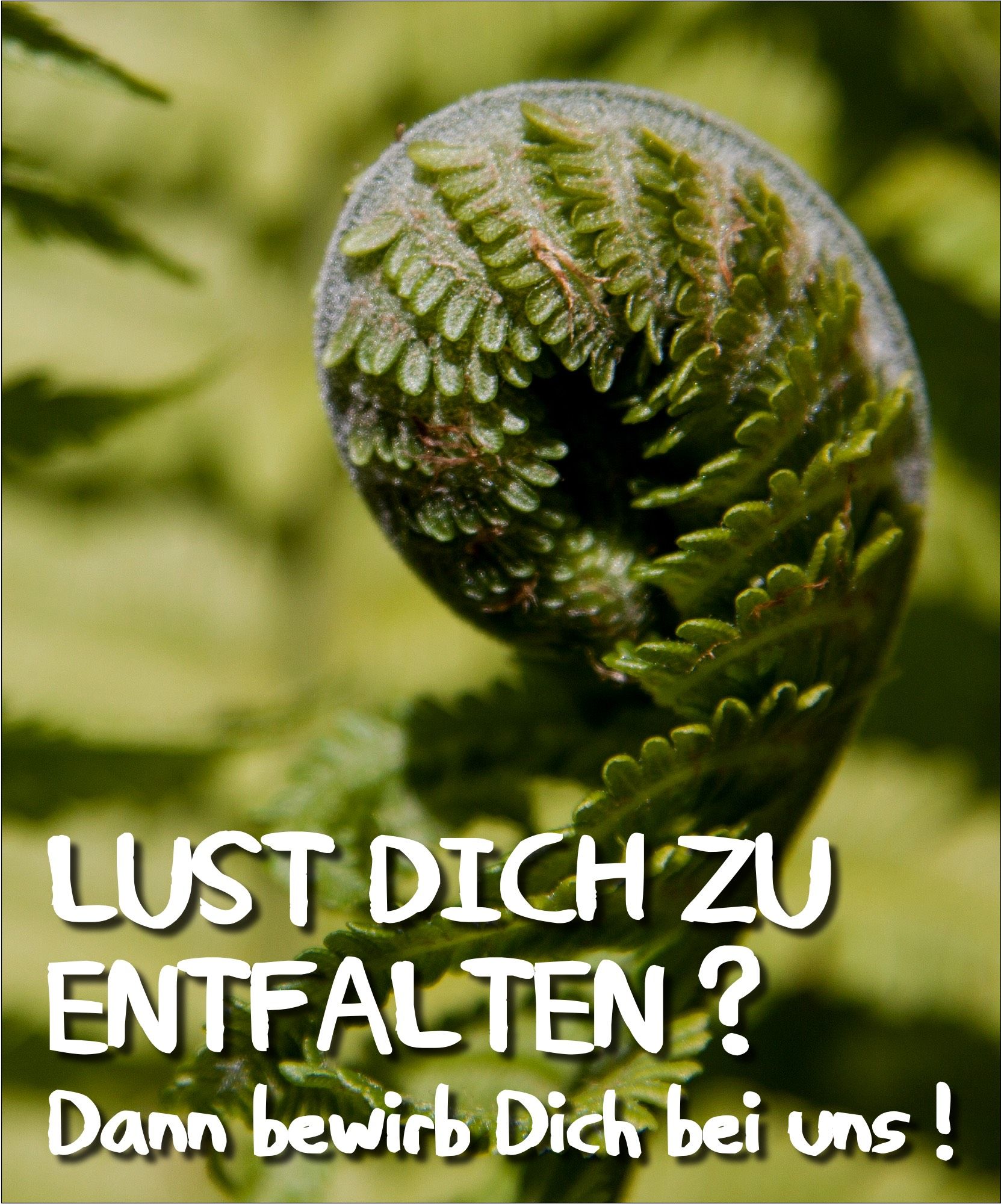 Lust Dich zu entfalten? Dann bewirb Dich bei uns!